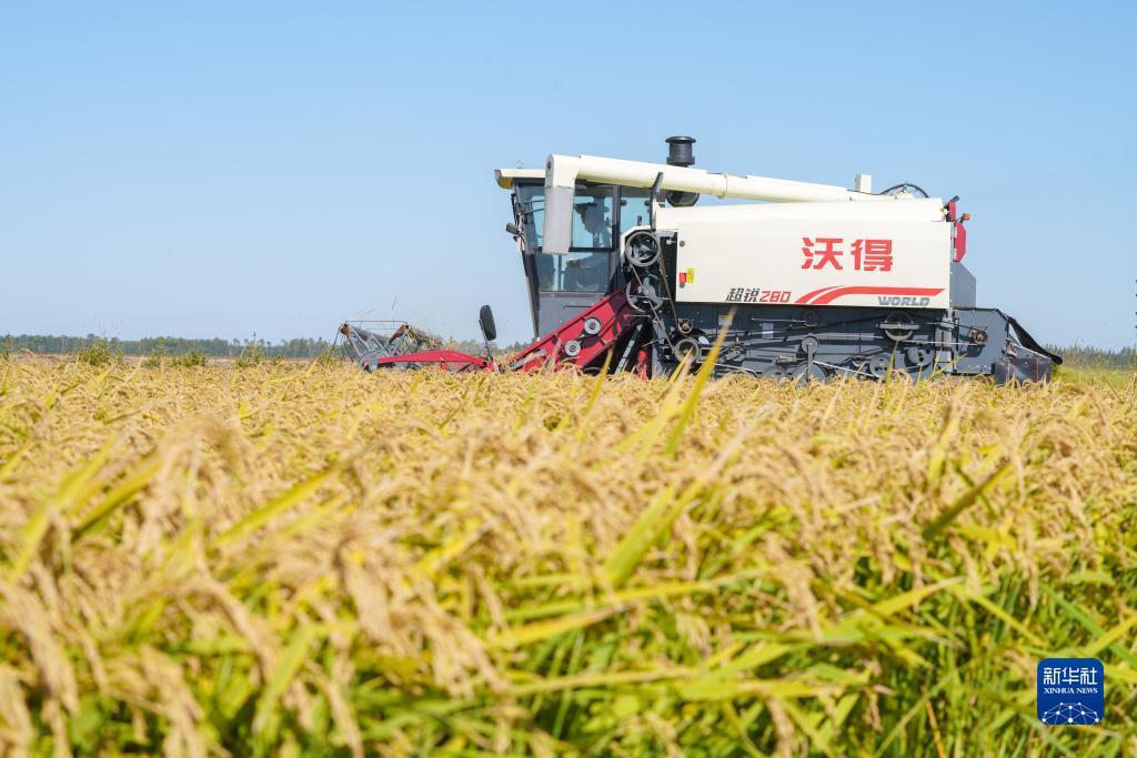 指尖捕鱼游戏最新版